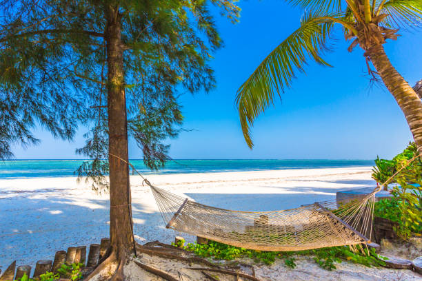 3 Days Zanzibar Beach Trip — Discover the Magic of Zanzibar